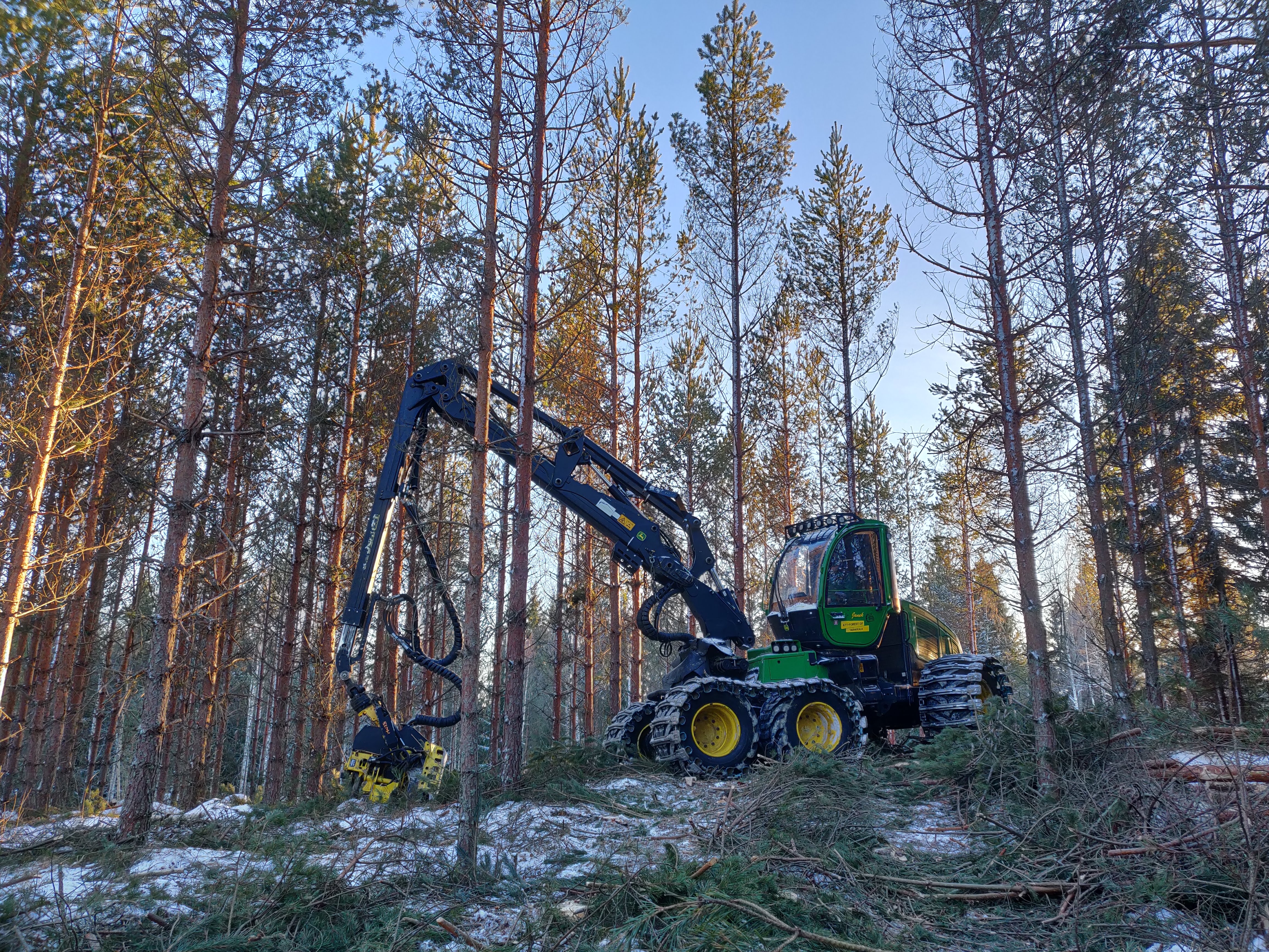Course Image Puunkorjuu ja -hankinta / Timber Harvesting and Procurement 2024