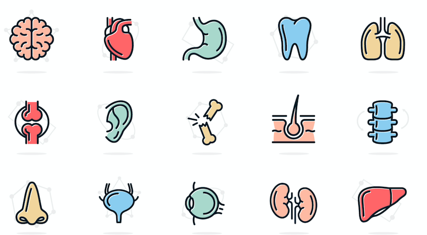 Course Image E-toteutus_anatomia ja fysiologia