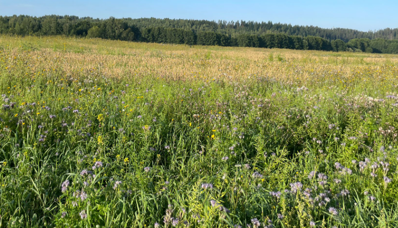 Course Image Sustainable crop production BN00DG25-3001