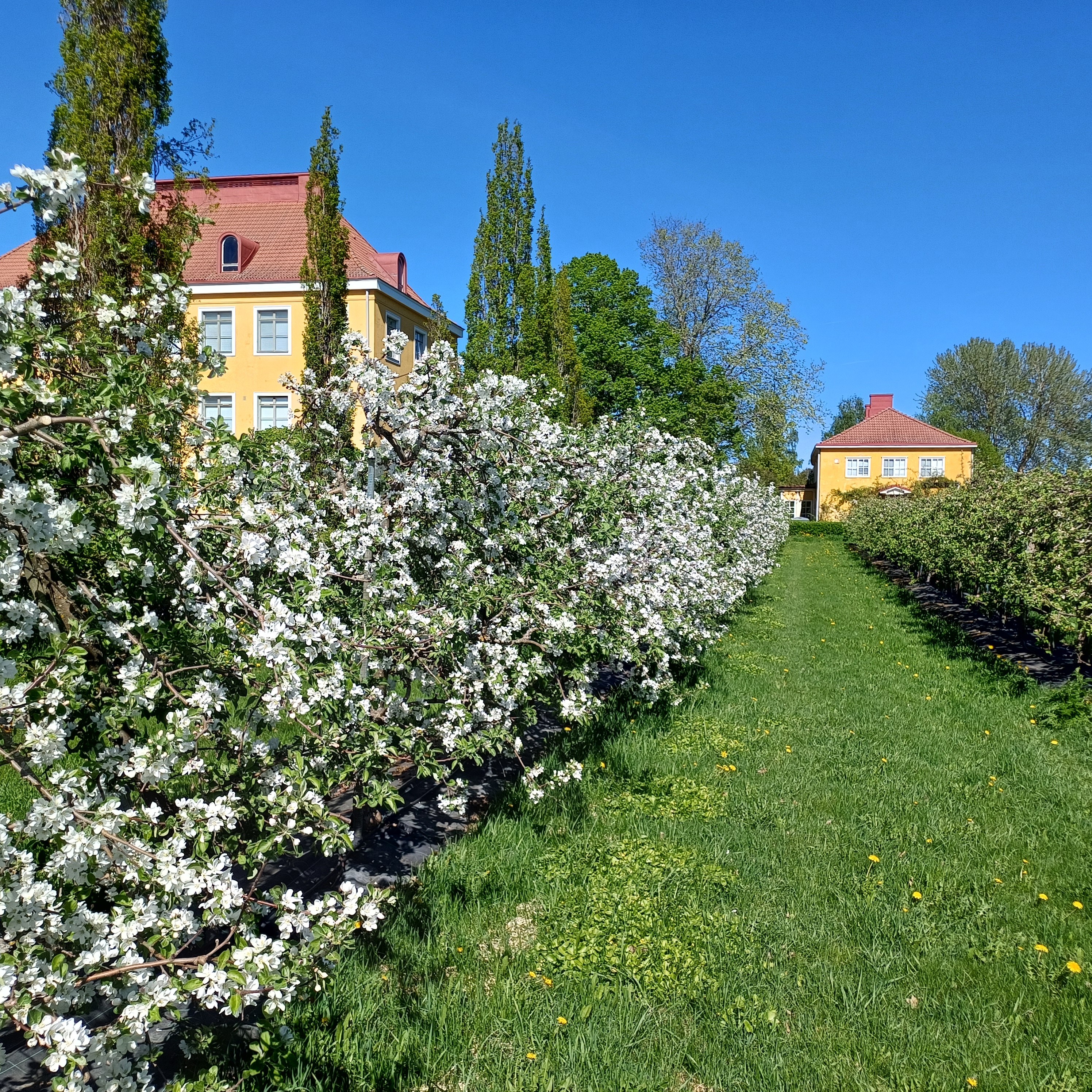 Course Image Skaalautuvat rakennetun ympäristön prosessit, HORYP24, s24, (RY00EN06-3002)