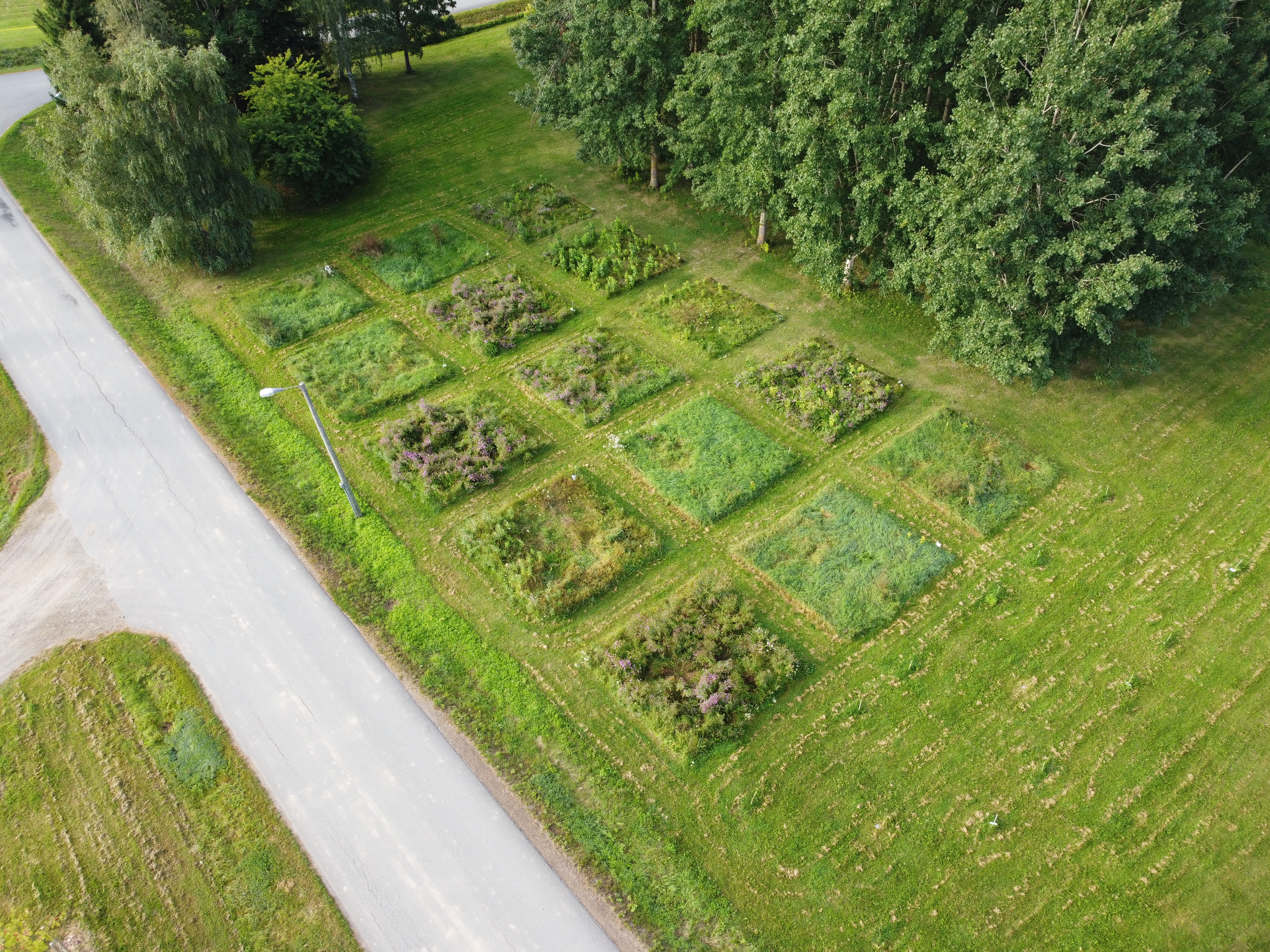 Course Image Dronet viheralalla 2024-2025