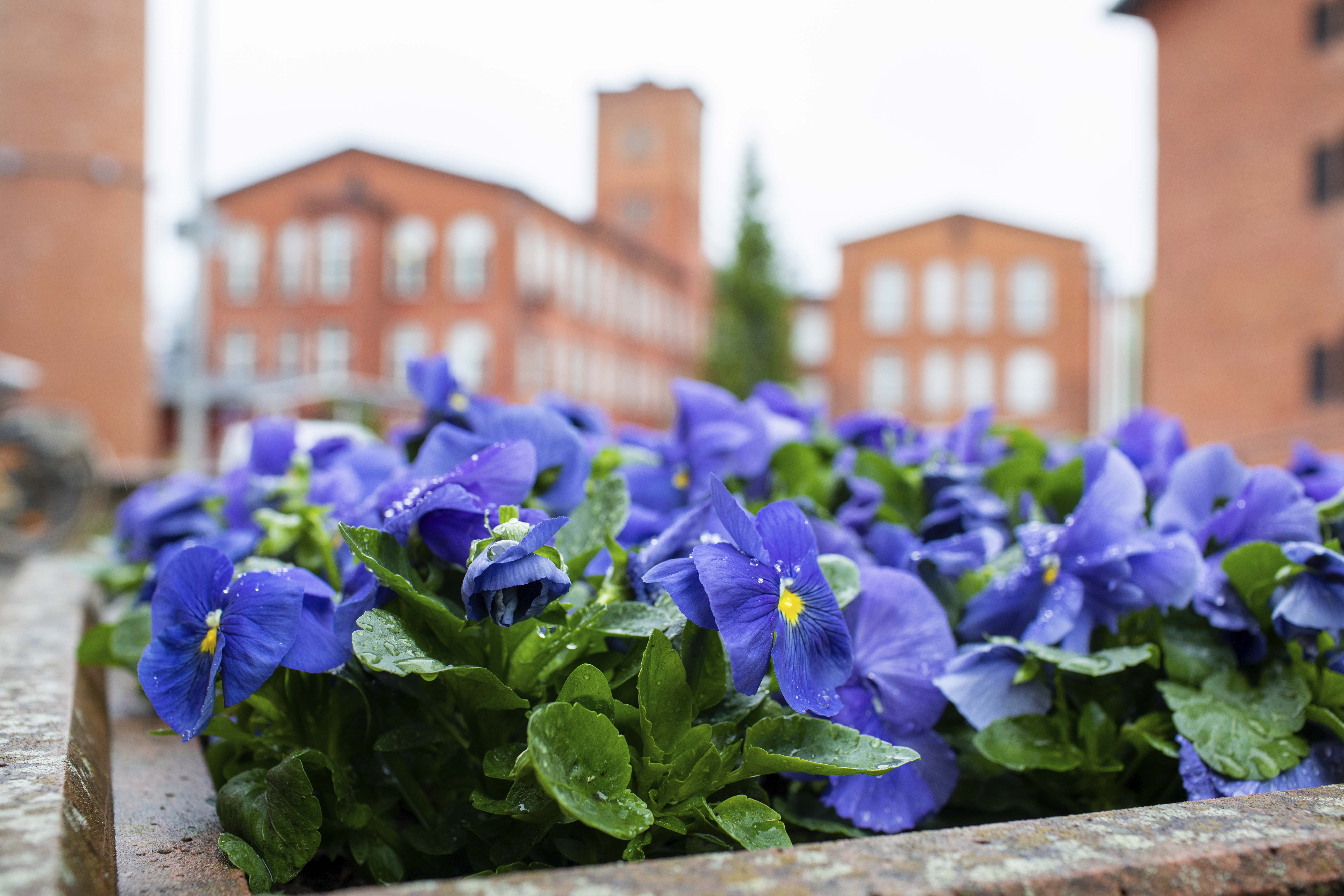 Course Image SHHTM24A2 Hoitotyön perustaidot , s24