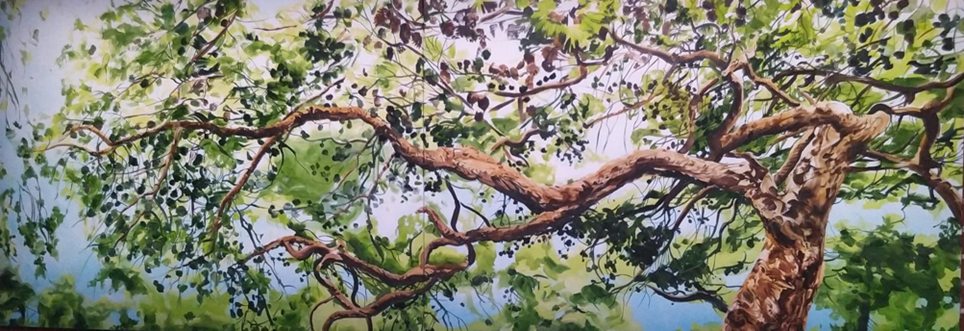 Course Image MOD 5 Lääkelaskut 2024-2026 SHHTP23A2 & SHHTM24X2 & SHHTP24A2