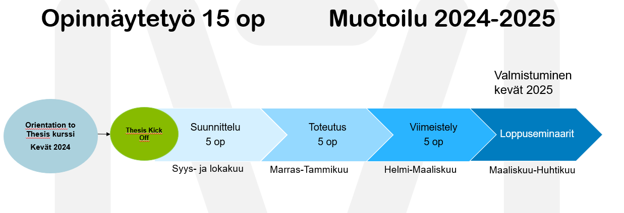 Course Image Opinnäytetyö MUOTOILU 2024-2025