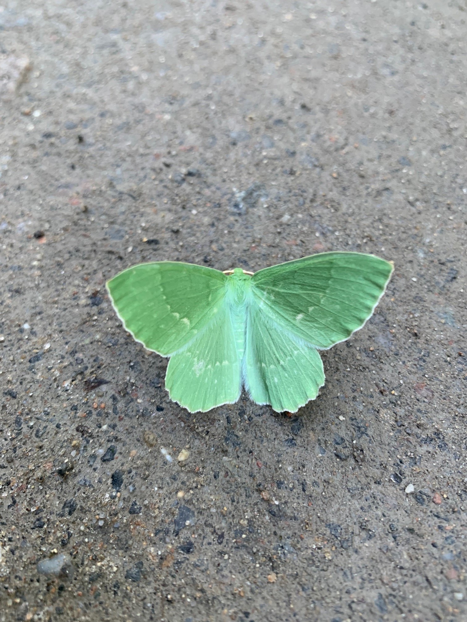 Course Image Julkiset kaupunkitilat 2024