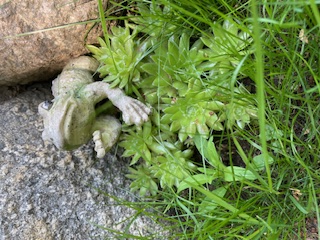 Course Image Professional English 2 for yskep23