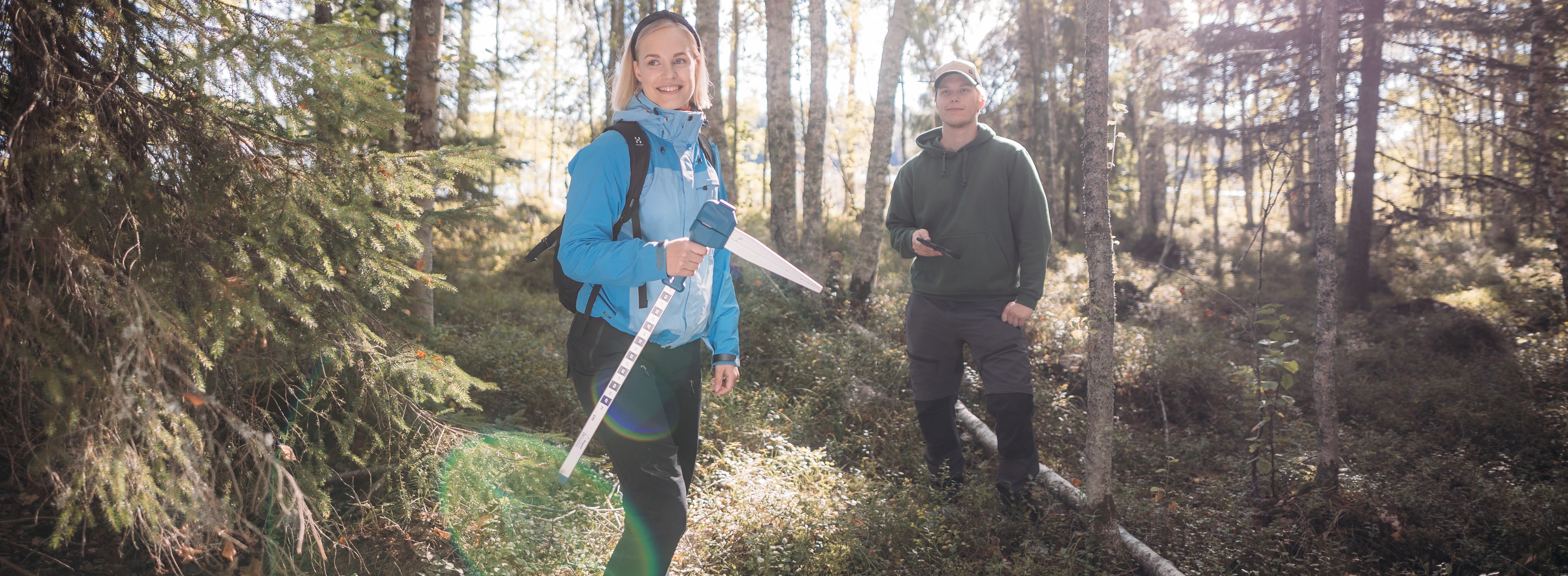 Course Image Metsätieto / Forest Data 2024