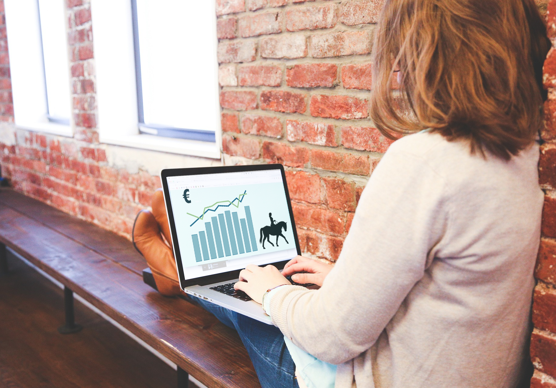 Course Image Hevosalan liiketoiminnan kehittäminen, syksy 2024