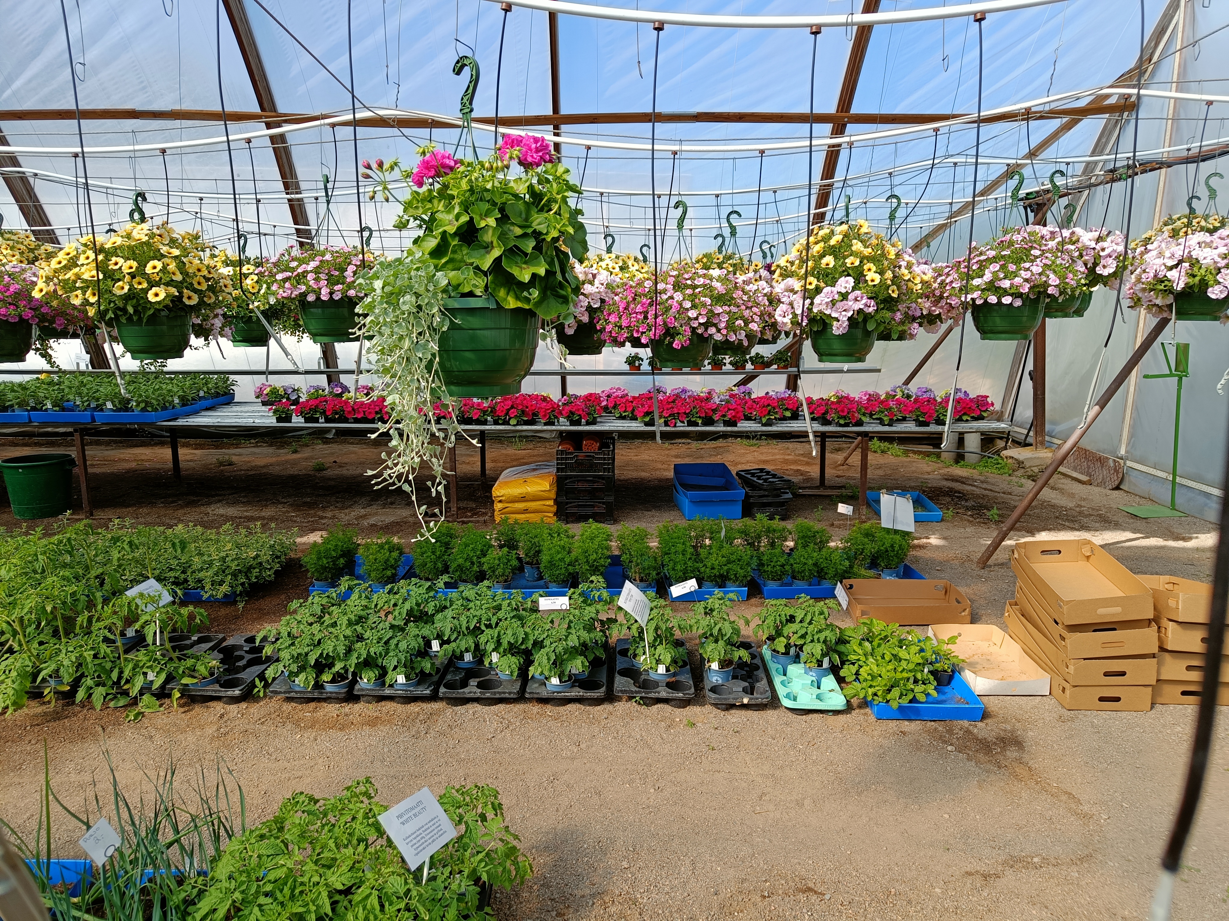 Course Image Työharjoittelu 2025