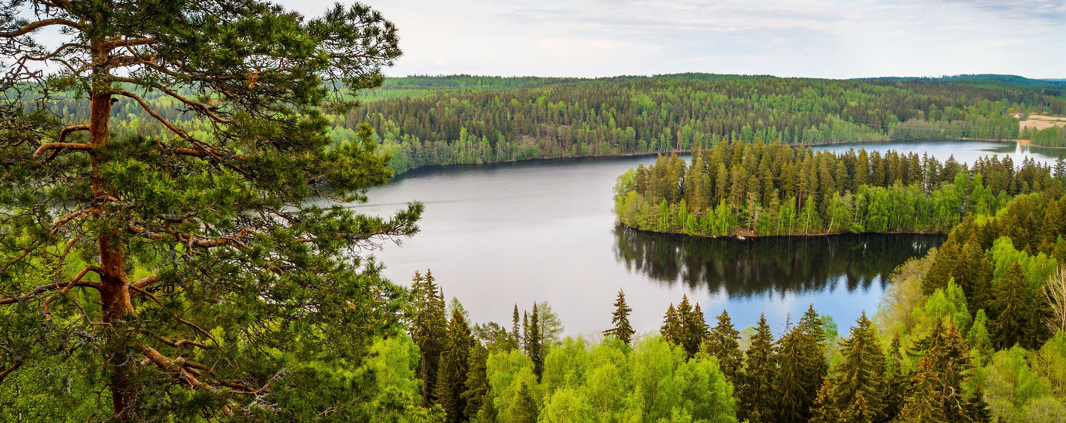 Course Image Finnish 4 CA00EE82-3002
