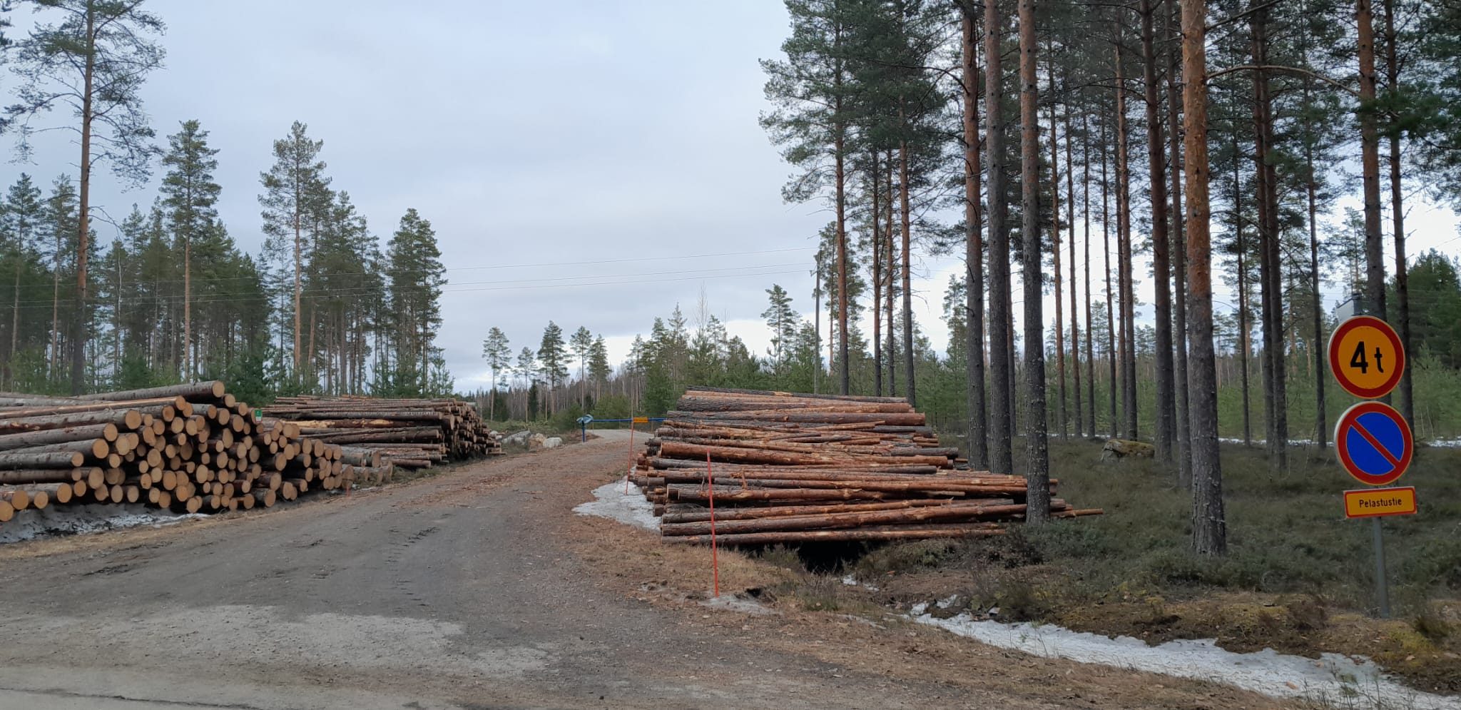 Course Image {mlang fi_co}Puunhankintaketju 2025{mlang} {mlang en}Wood procurement chain 2025{mlang}