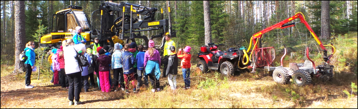 Course Image Projekti - metsäkasvatustapahtuma