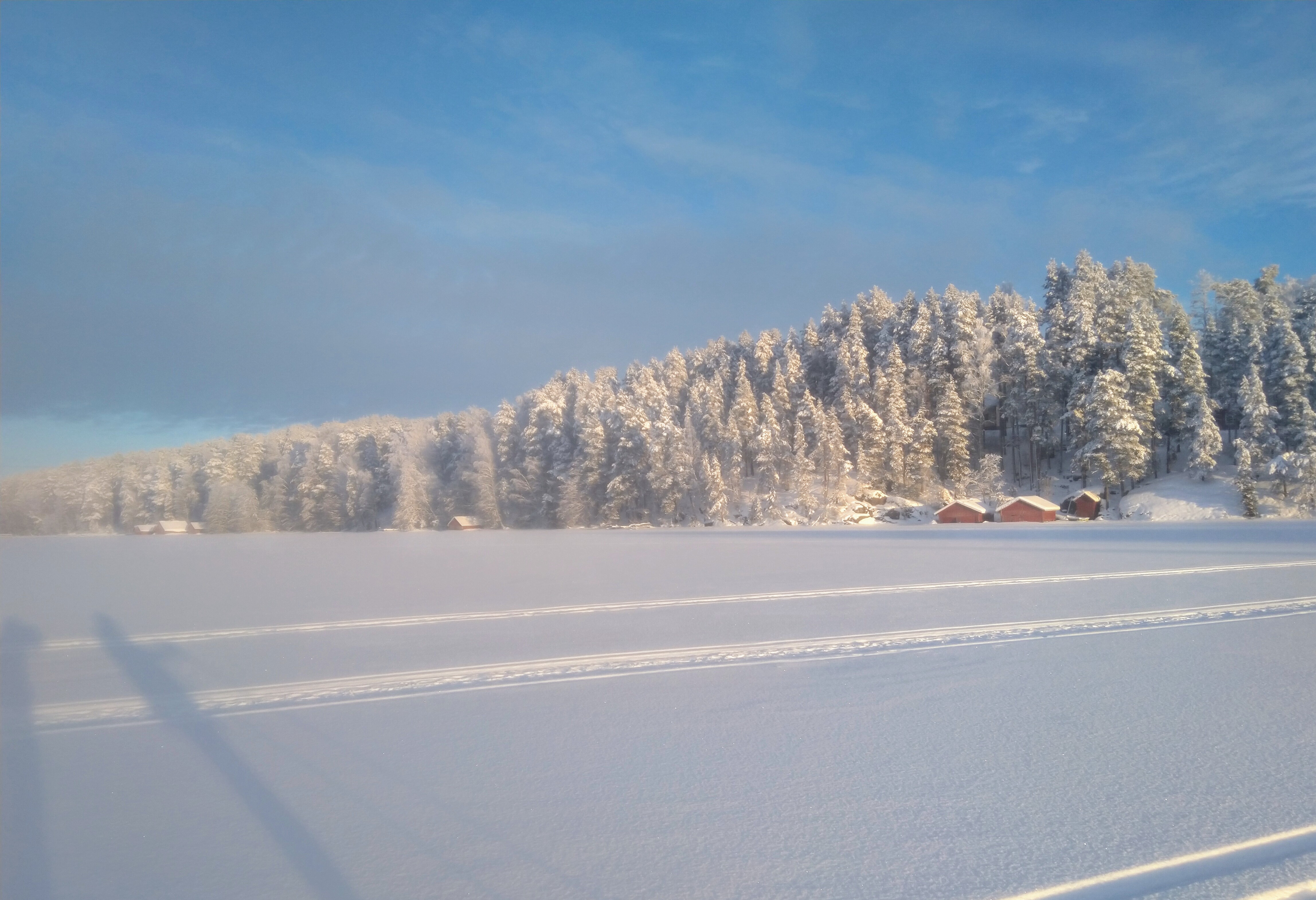 Course Image Opiskelijana ammattikorkeakoulussa SO00FL10-3001