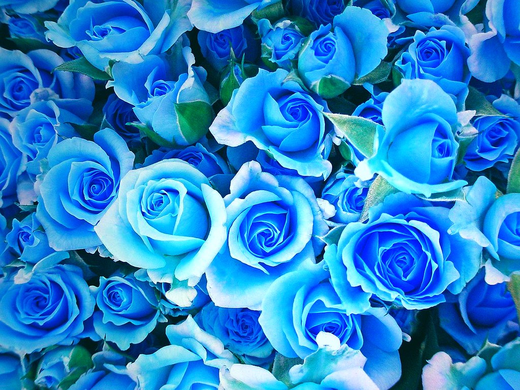 Course Image Moduuli 2 (Marja-Liisa ja Lauri)- Opettaja pedagogisena toimijana 20 op 2025-2026 OP00FD41-3009