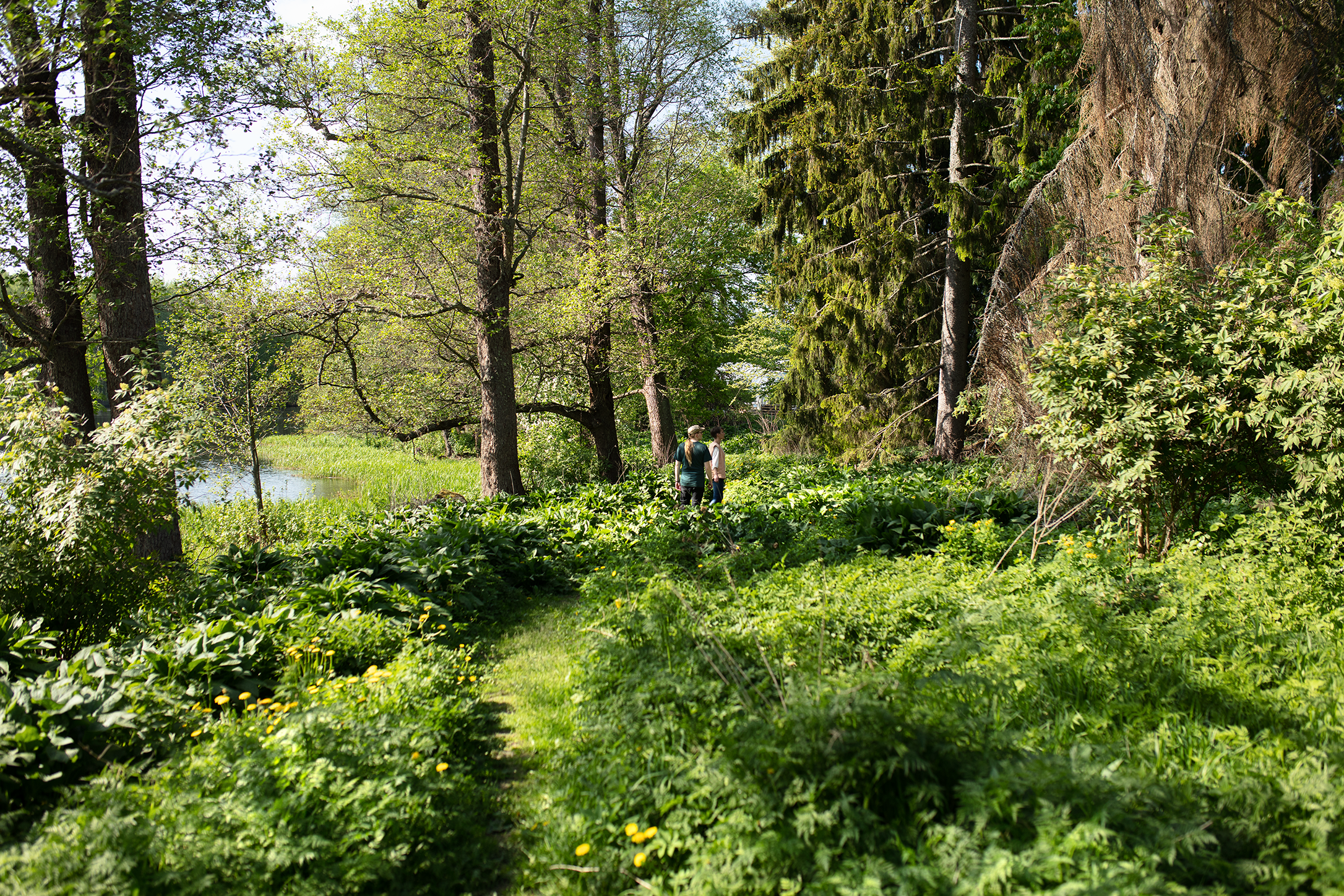 Course Image IPTE2025 - Module 1 - Teacher as an Expert of Learning