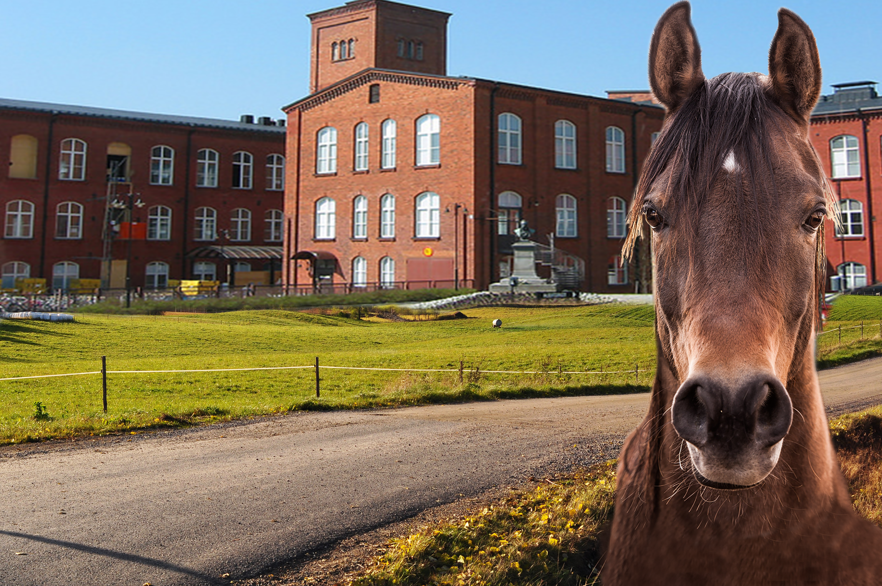 Course Image Hevosalan liiketoimintaympäristö 2026