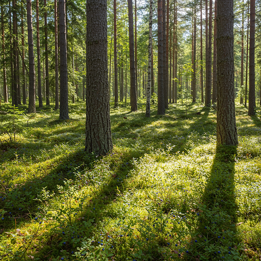 Course Image eGerontologinen hoitotyö lukuvuosi 2025-2026