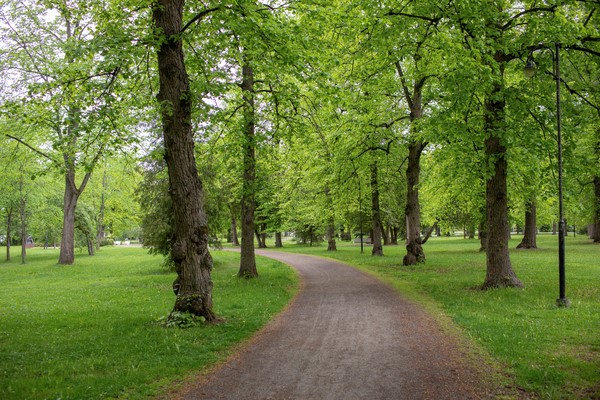 Course Image e-Hoitotyön ja lääkehoidon perusteet (2025-26)