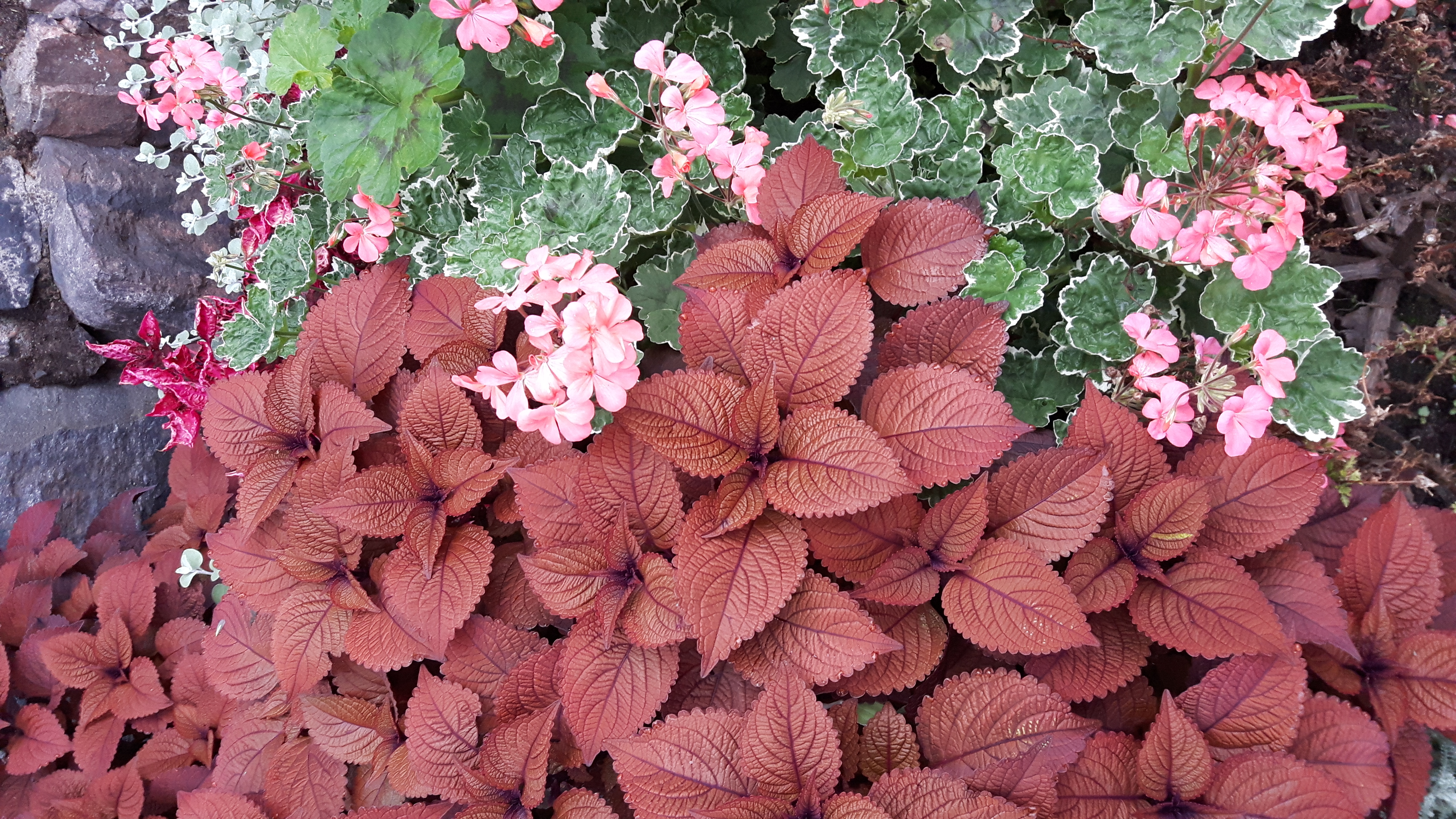 Course Image Selection and Use of Plants in Different Type of Gardens 2025