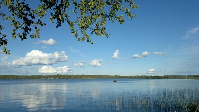 Course Image LV 2025-2026 Johtaminen sosiaalialalla non-stop