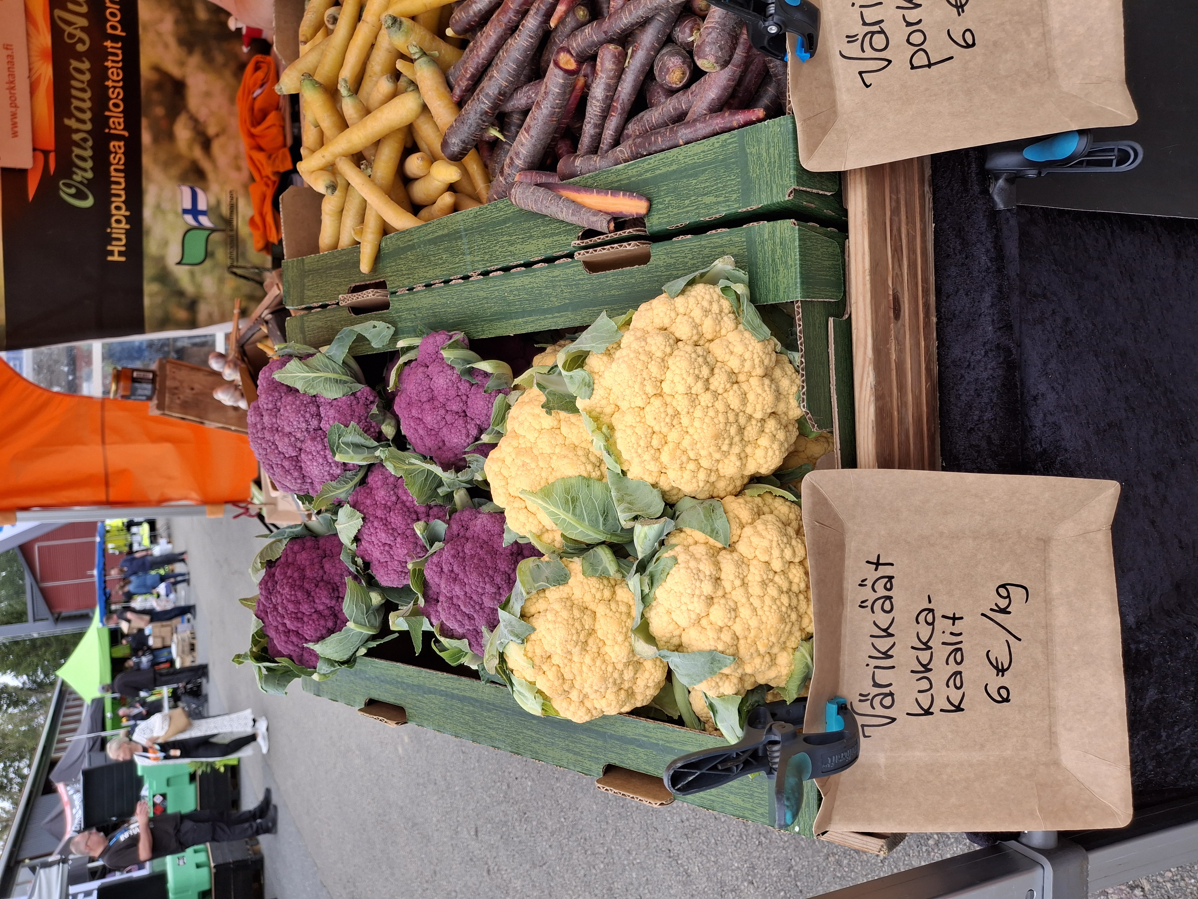Course Image Horticulture on Open Fields and High Tunnels 2026