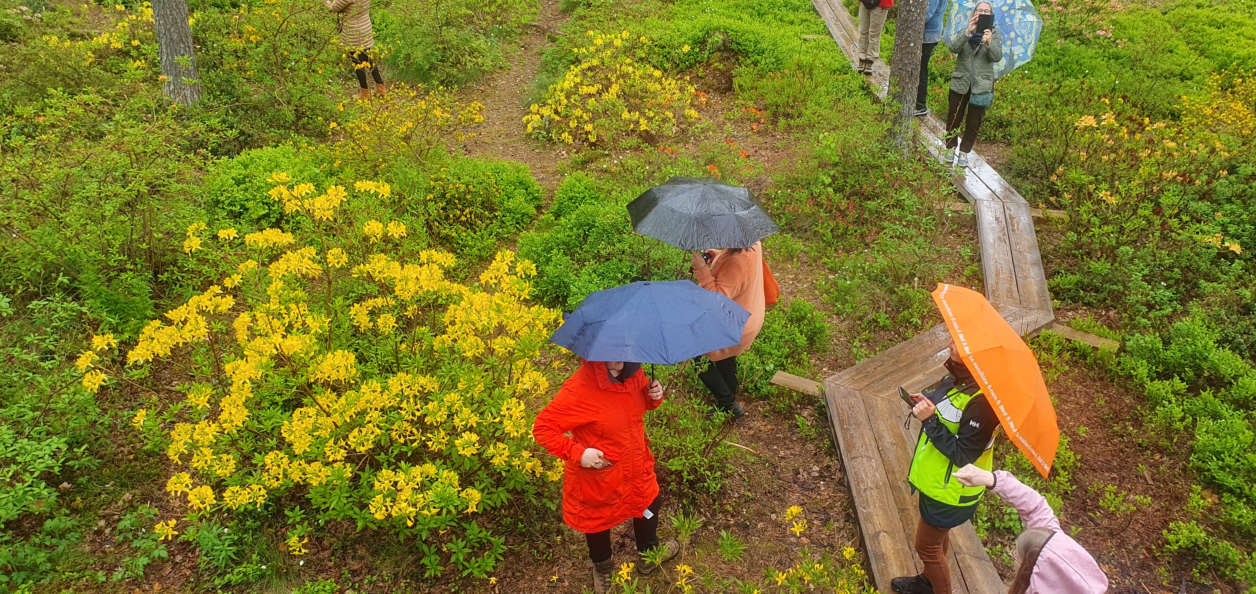 Course Image Tulevaisuuden kaupunki- ja metsäympäristöt, kevät 2026