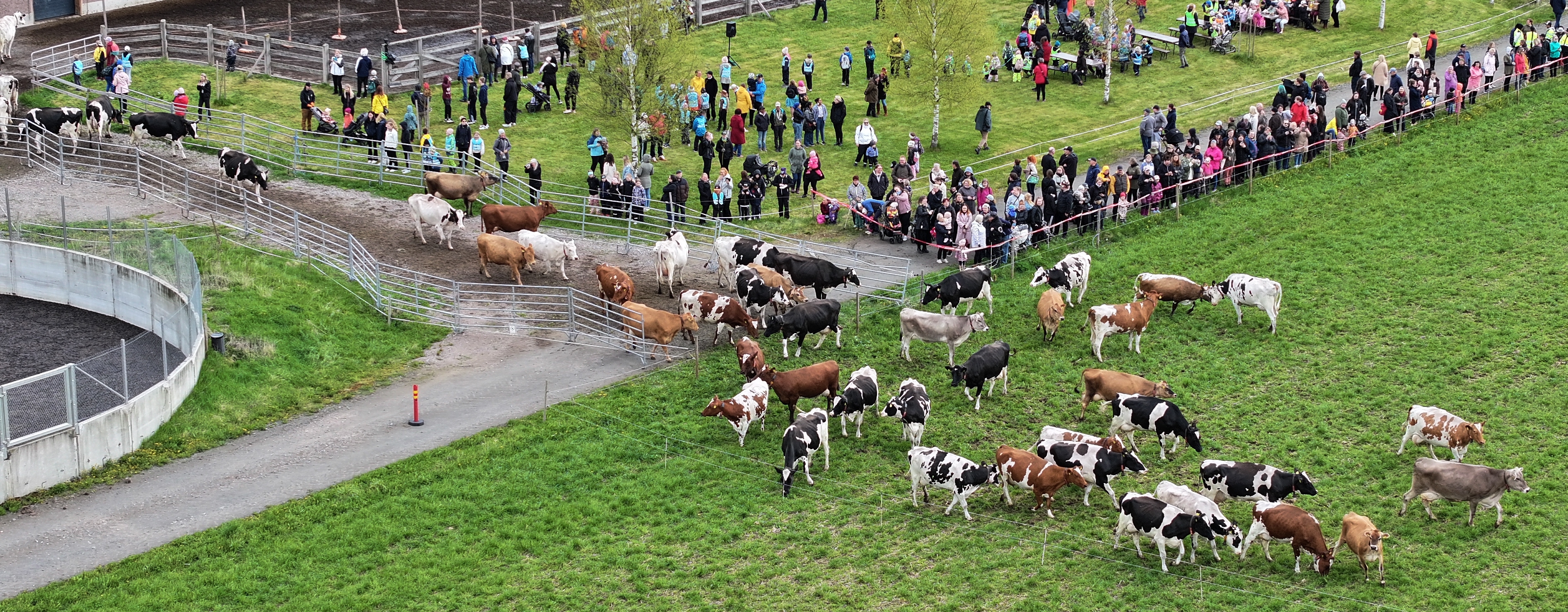 Course Image Navettaviikko 2025/Cowshed week 2025
