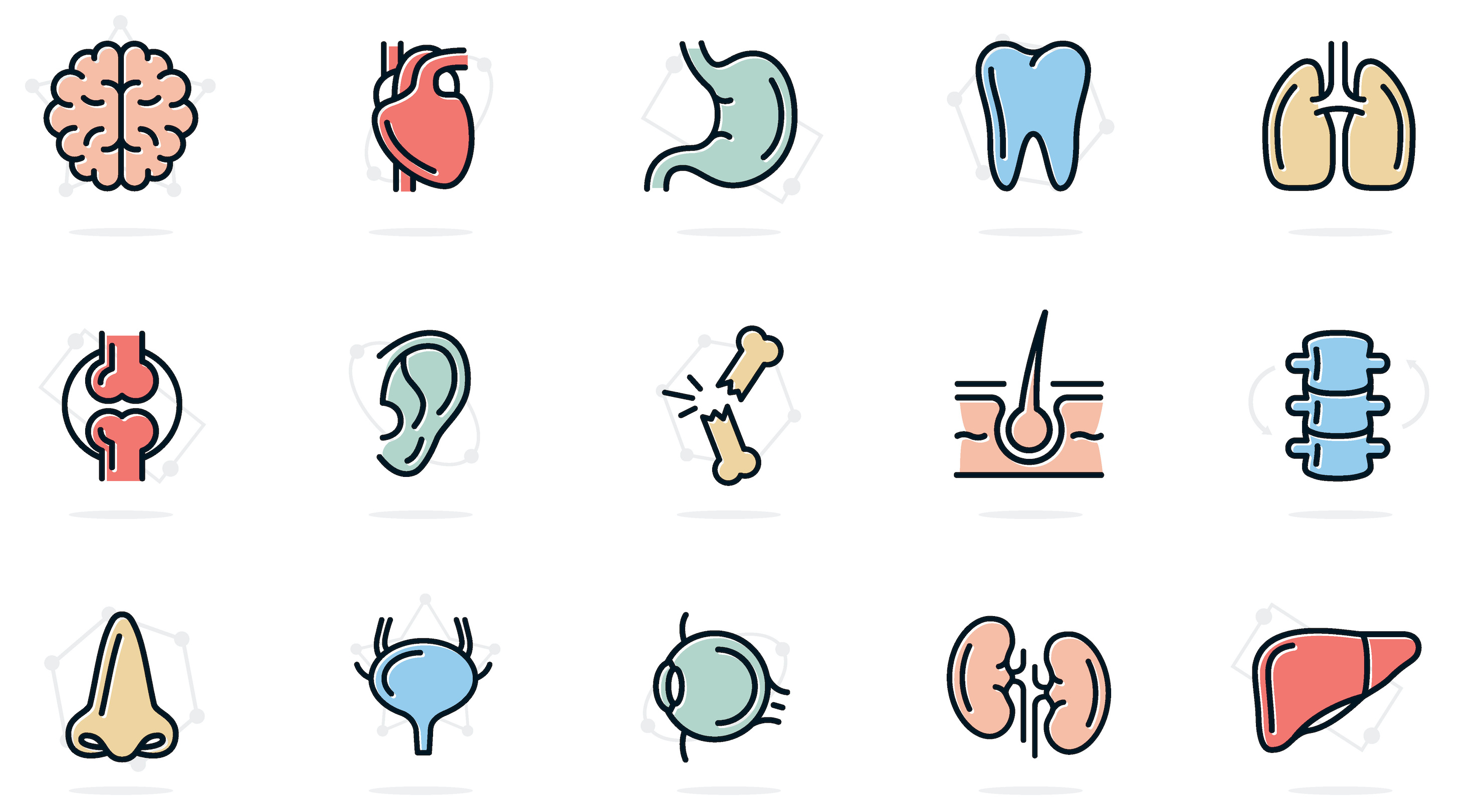 Course Image OPS 2025-2026 Anatomia ja fysiologia 1 ja 2