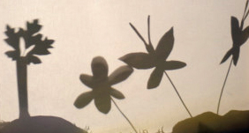 Course Image Taidelähtöiset menetelmät ja mediakasvatus SO00EG76-3003, SOSOP23