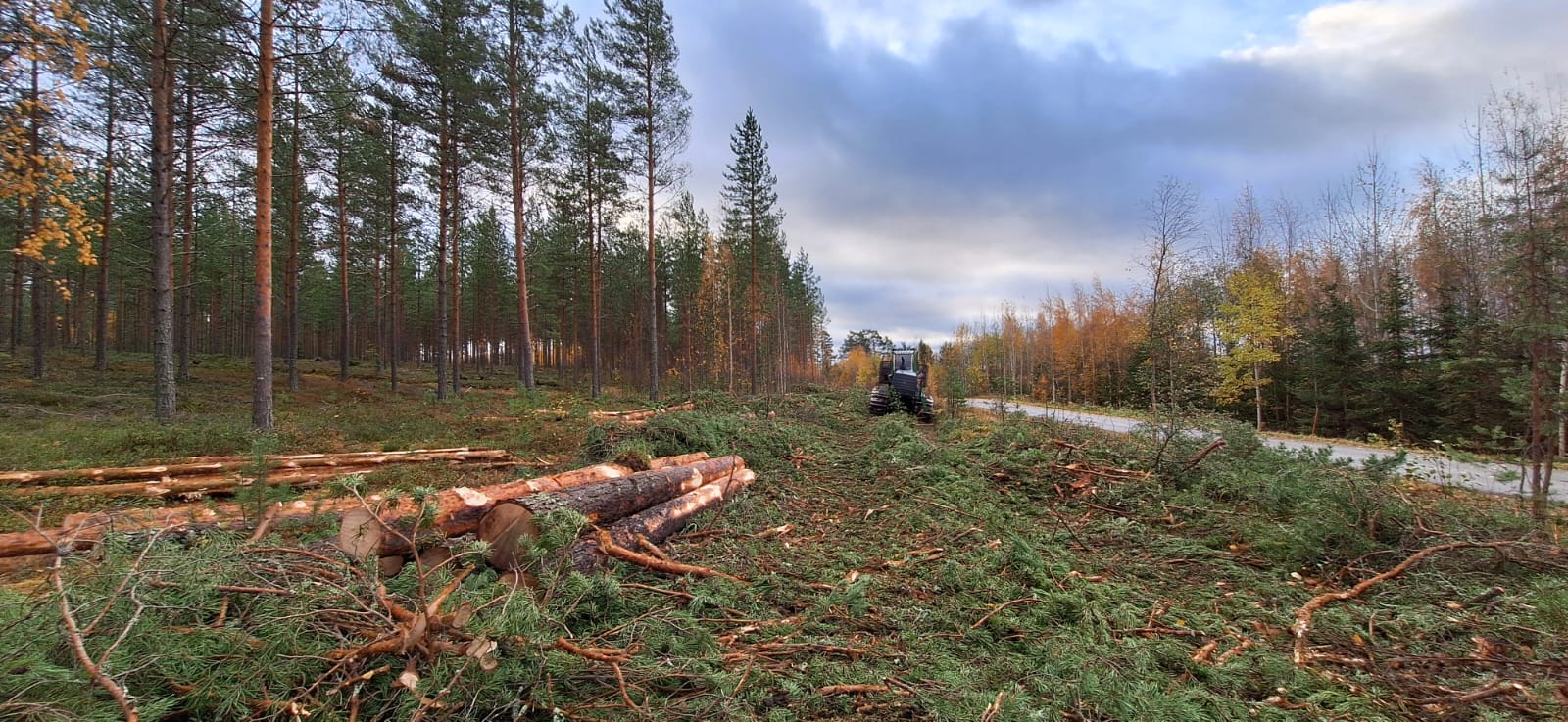 Course Image Puunhankinnan ammattitaidot, päivä- ja monimuoto 2025