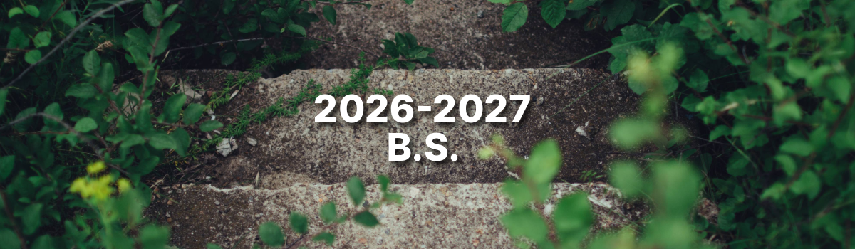 Course Image Sustainable Development.Now! 2026-2027 Bachelor