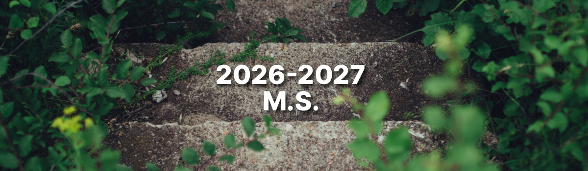 Course Image Sustainable Development.Now! 2026-2027 Master