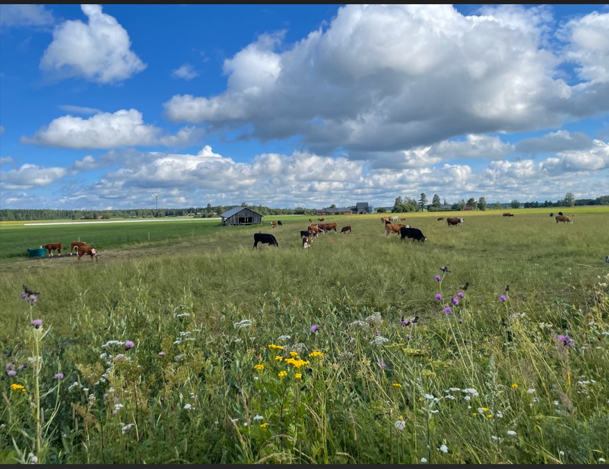 Course Image Maaperän terveyden ja kasvukunnon parantaminen sekä ilmastonmuutokseen sopeutuminen 5 op