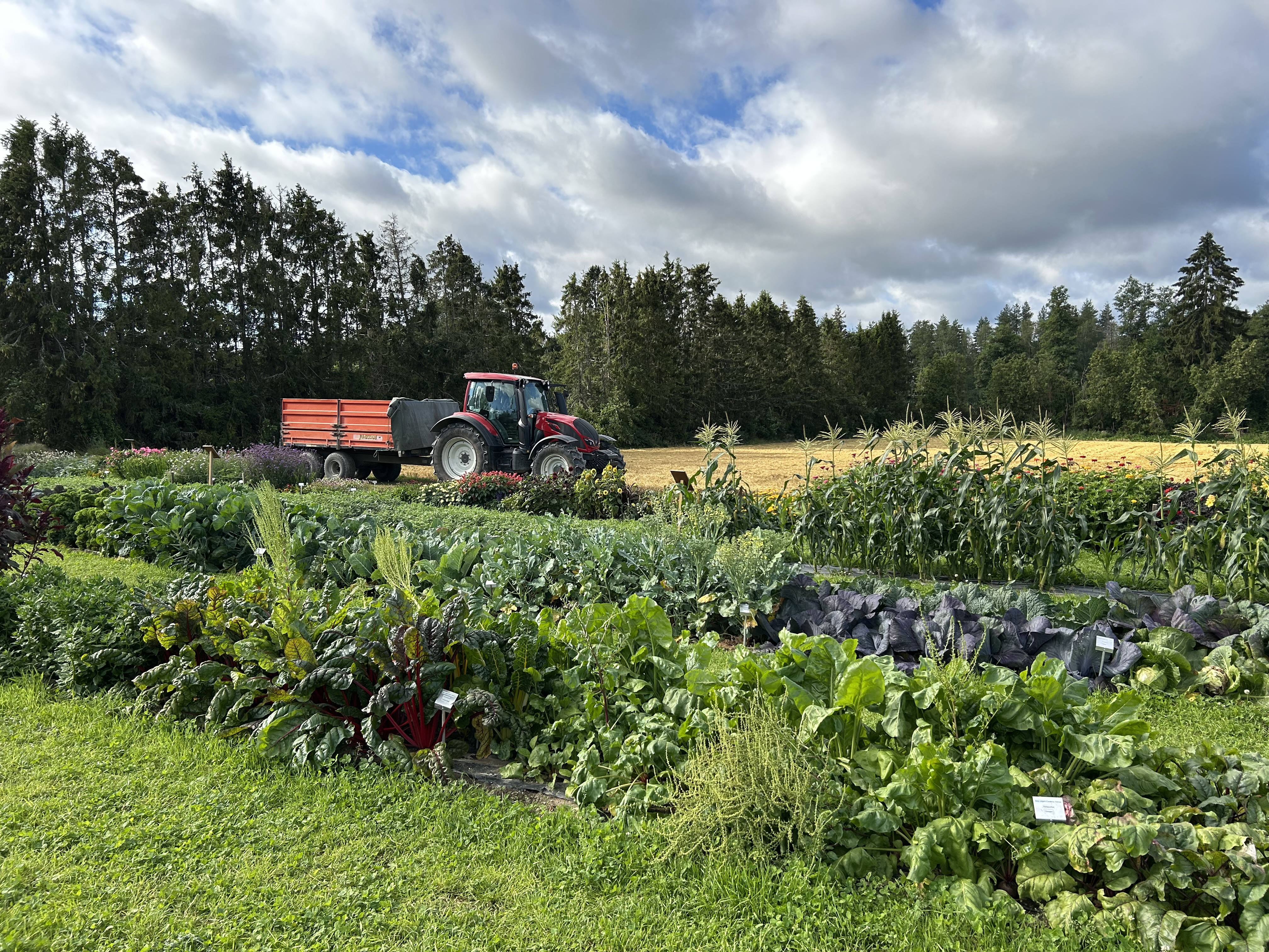 Course Image Datan omistajuus ja hyödyntäminen maataloudessa 5 op