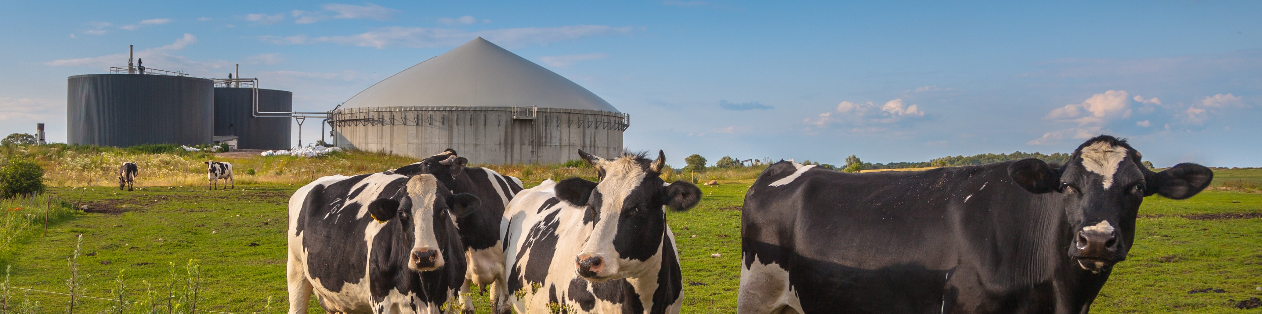 Course Image Ruoantuotannon kiertotalous ja omavaraisuuden tukeminen 5 op