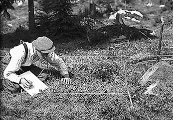 Course Image Metsäalan tutkimusmenetelmät ja ajankohtaiset teemat , syksy 2025 / Research Methods in Forestry, Autumn 2025