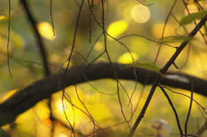 Course Image LV 25-26 Tutkimusviestintä (sosop24)