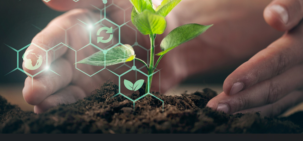 Course Image {mlang fi_co}Kasvinsuojelututkinto, kevät 2026{mlang}{mlang en}Plant protection certification, spring 2026{mlang}