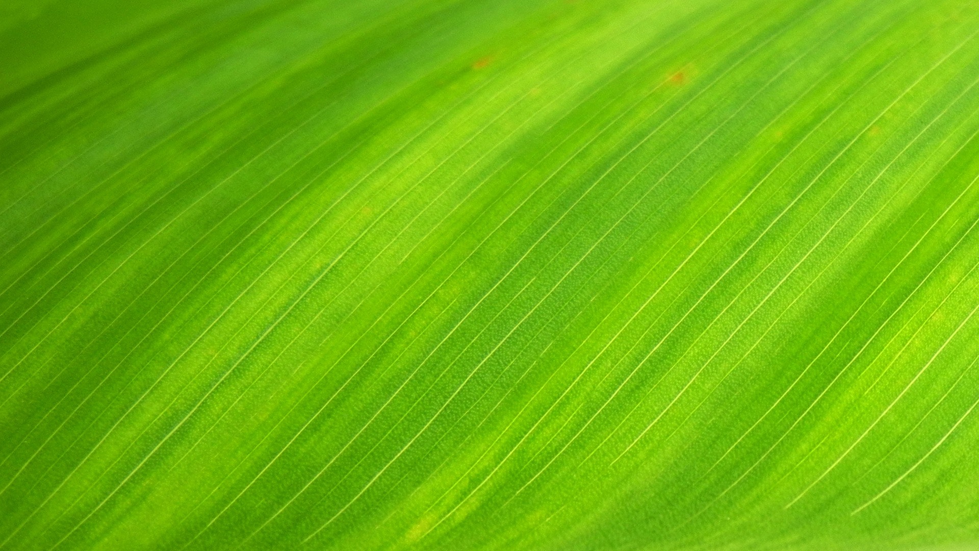 Course Image LIKE24 – Uudistuvat organisaatiot