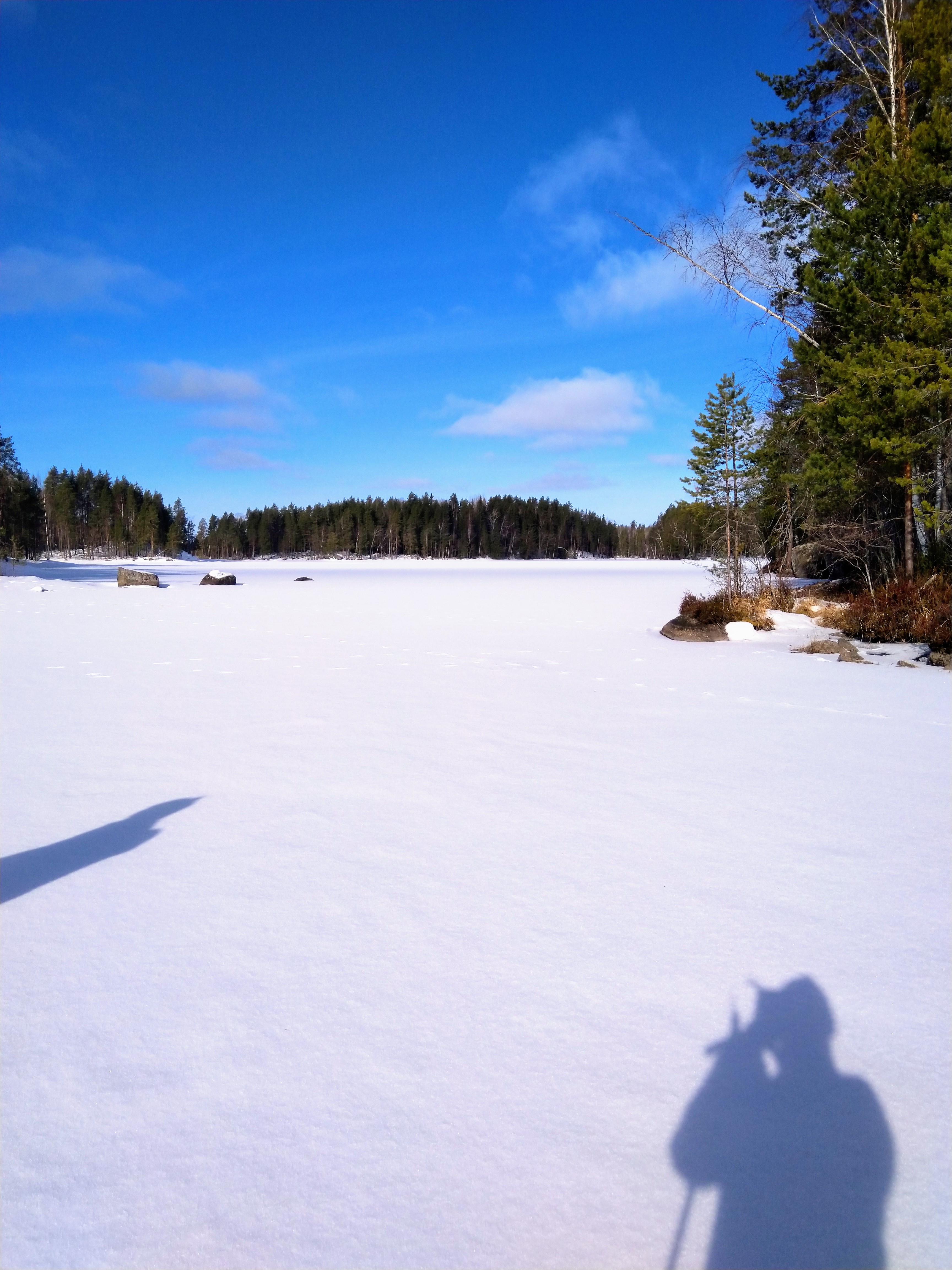 Course Image Kevät 2026 Sosiaalialan lähtökohdat ja perusteet SOSOM26X3 SO00FL08-3001