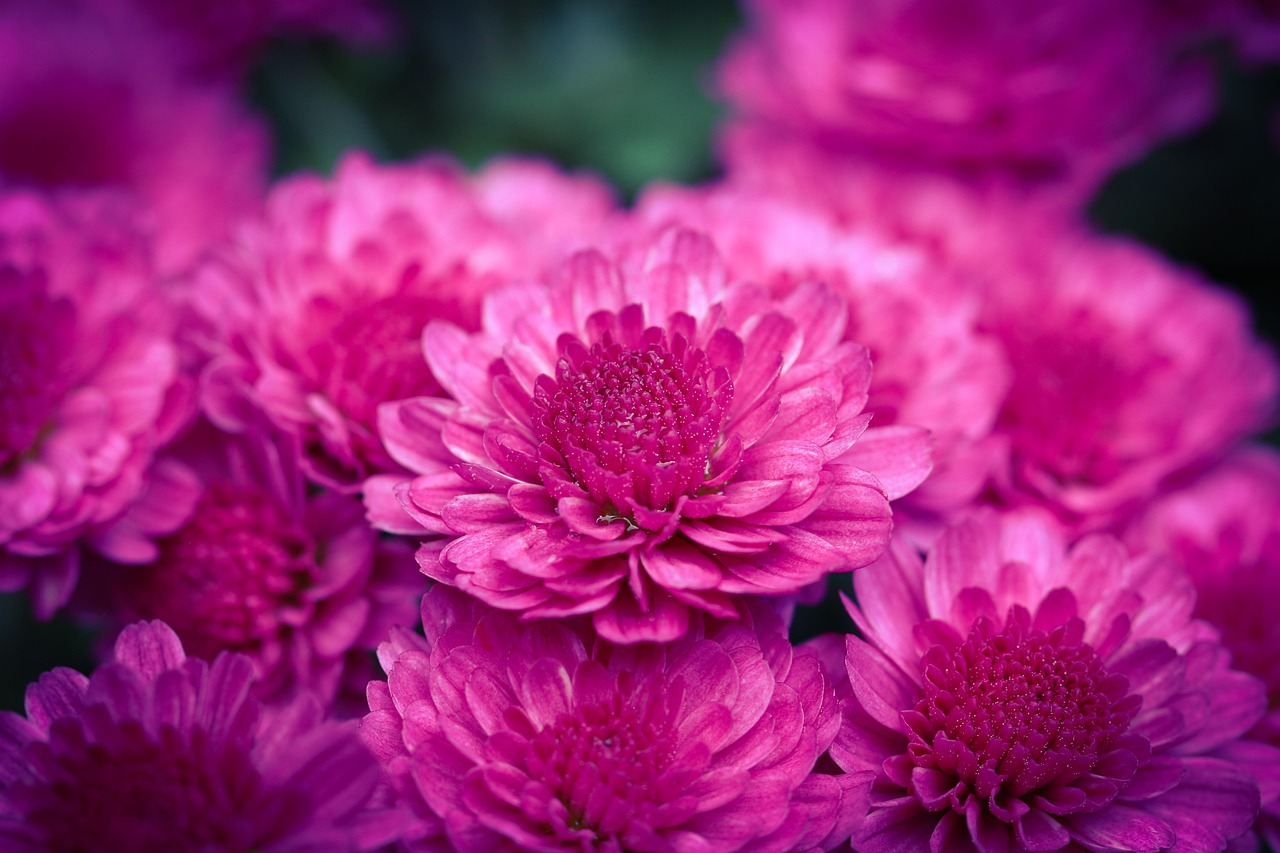 Course Image Voimavaroja tukevat työmenetelmät TH00FD25-3002 kevät -26 THHTM26X3