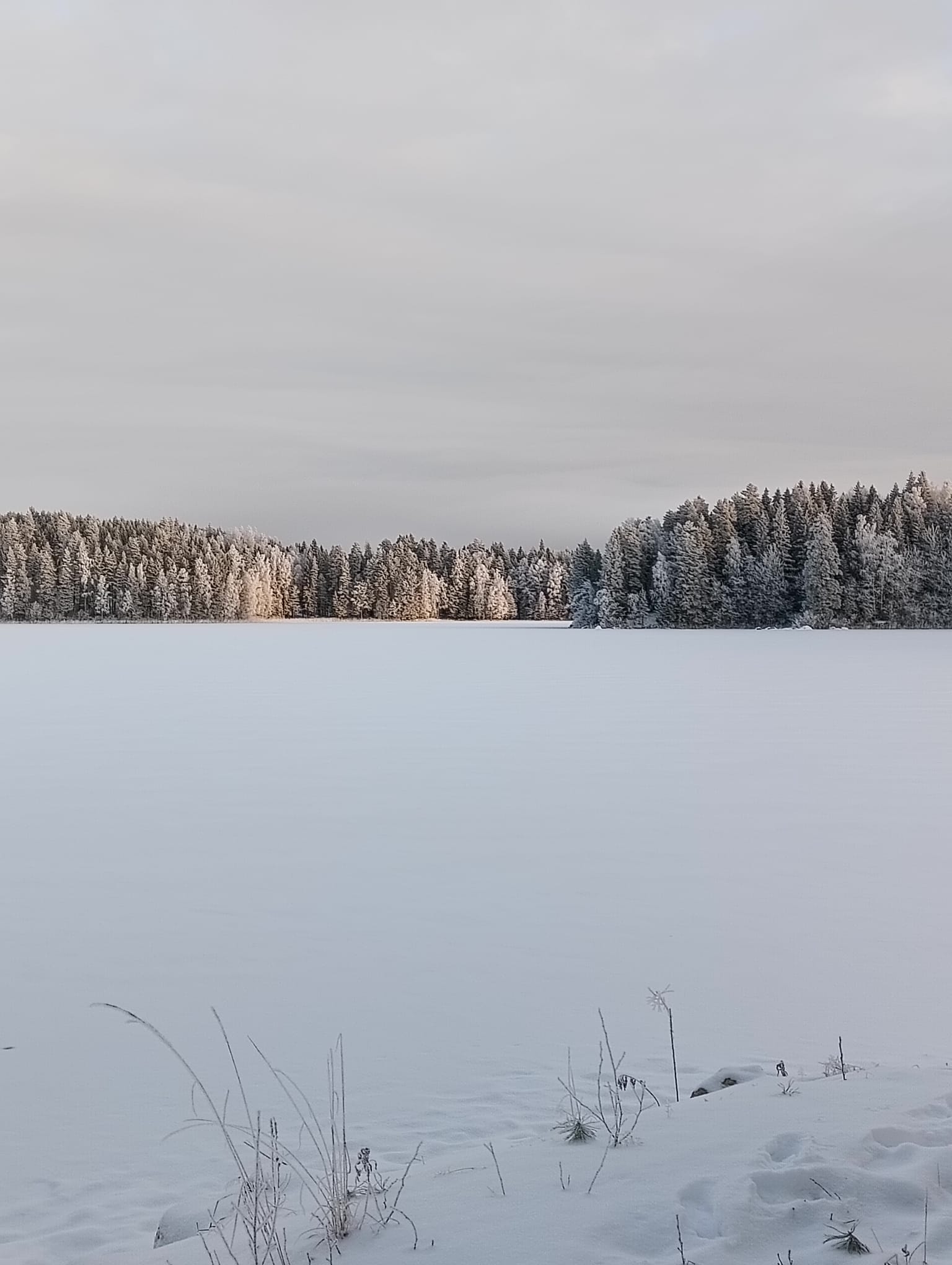 Course Image Finnish 3, talvi 2026