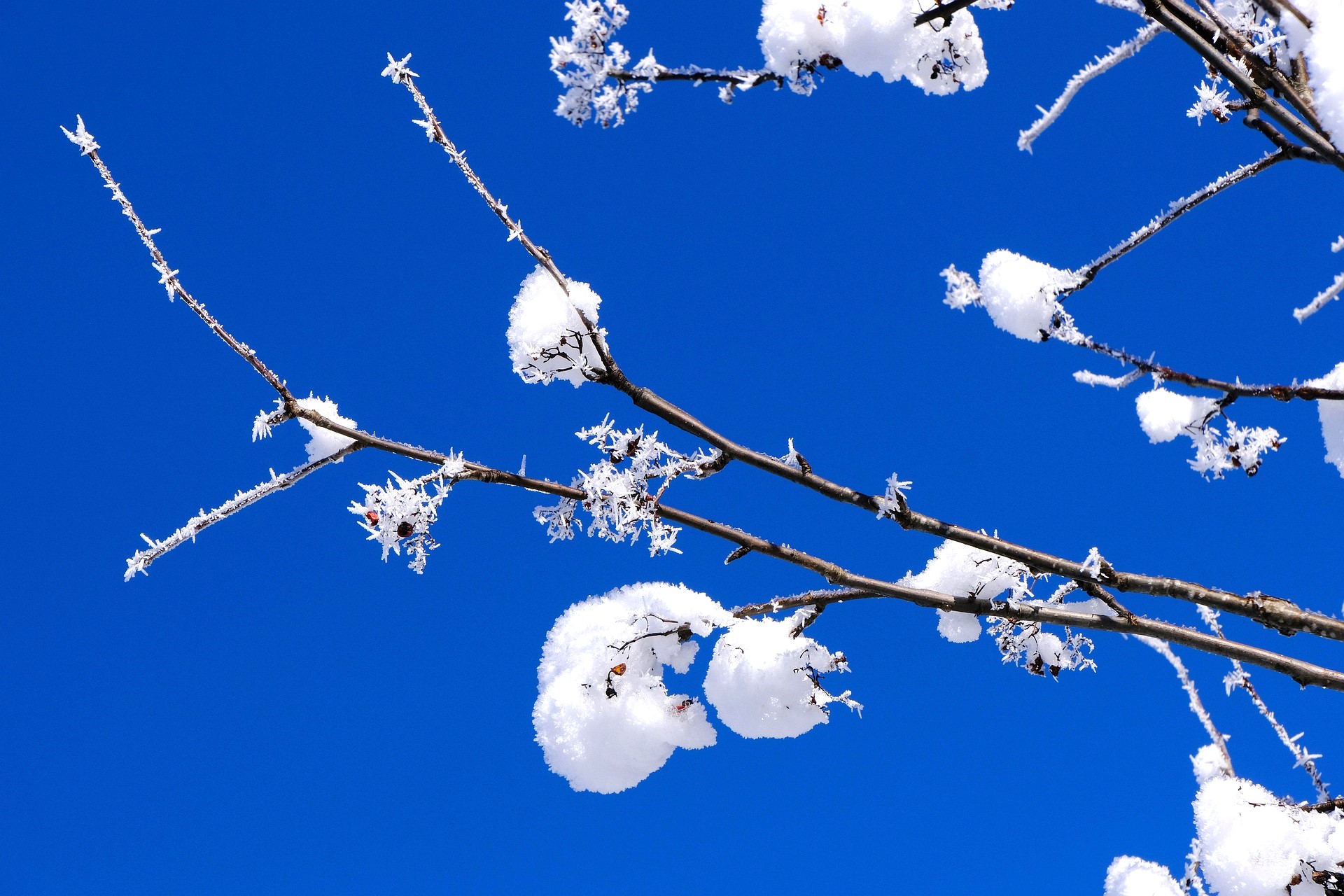 Course Image Technical English 2 (BECEP25) KM00FM65-3001