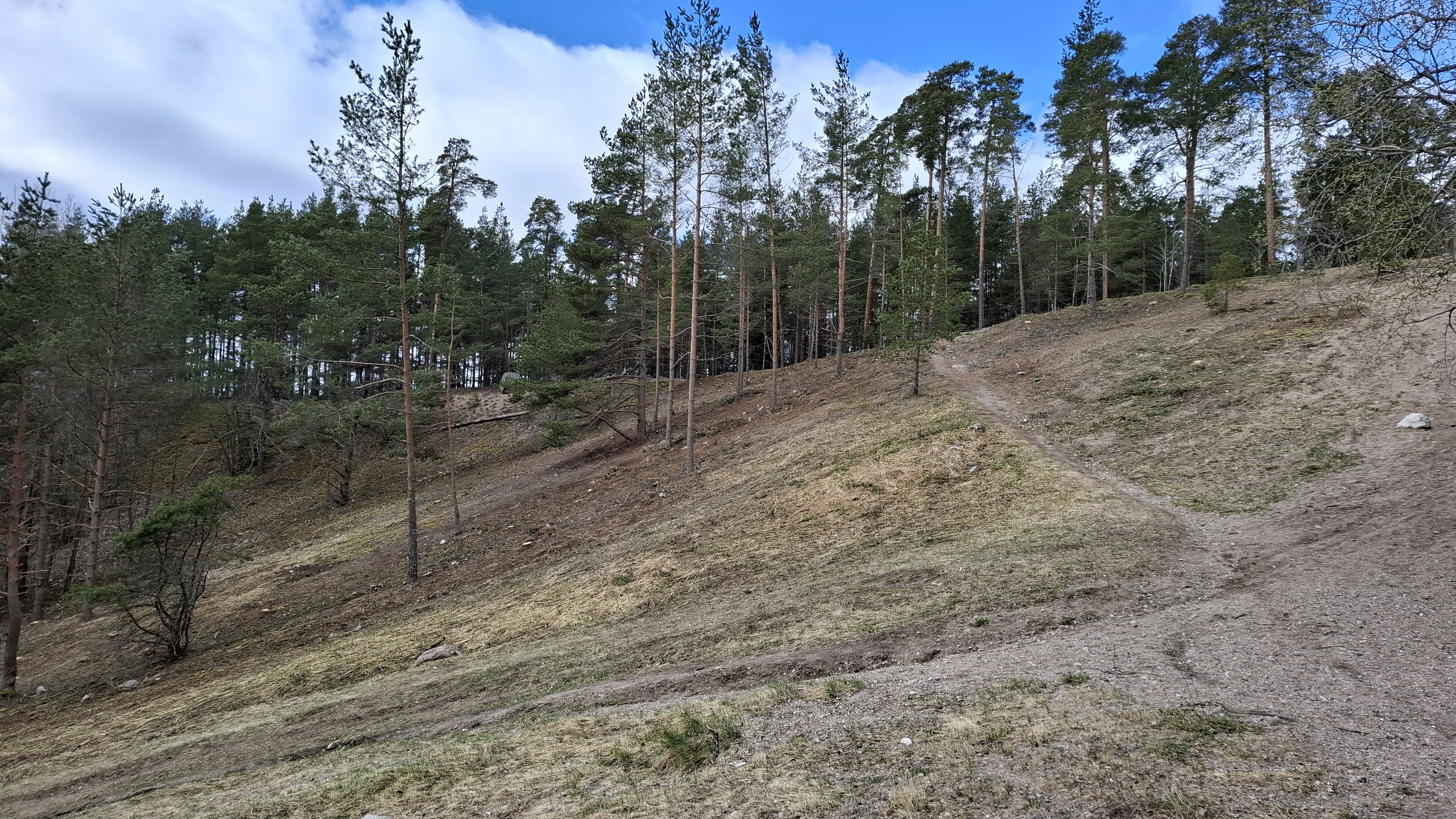 Course Image OSAAJA26 Luontoinnovaatiot KO00FV58-3001