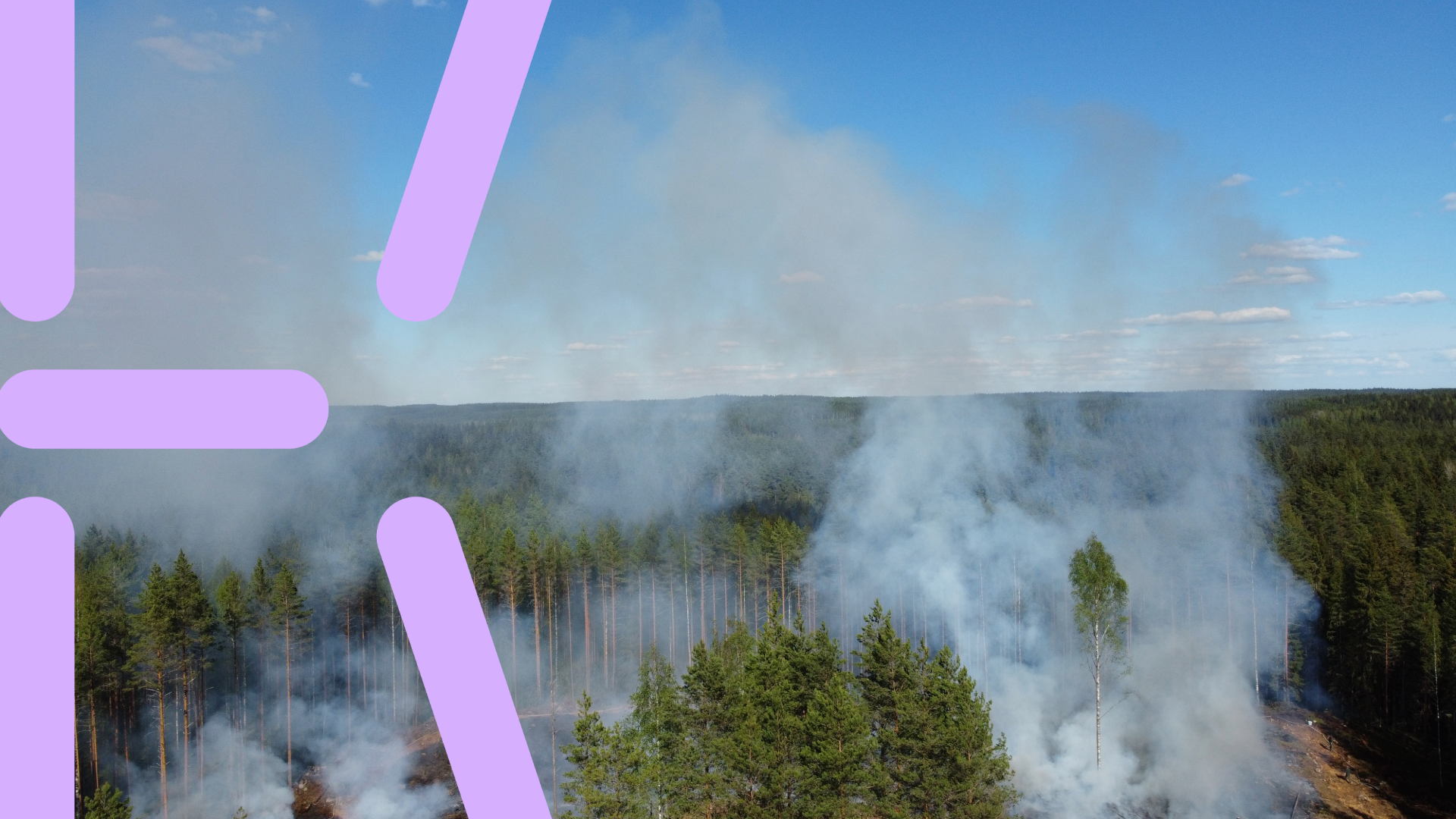Course Image {mlang fi_co}Metsäala murroksessa – arvot, ristiriidat ja rakentava keskustelu{mlang}{mlang en}Forest sector in transition - values, conflicts and constructive dialogue{mlang}