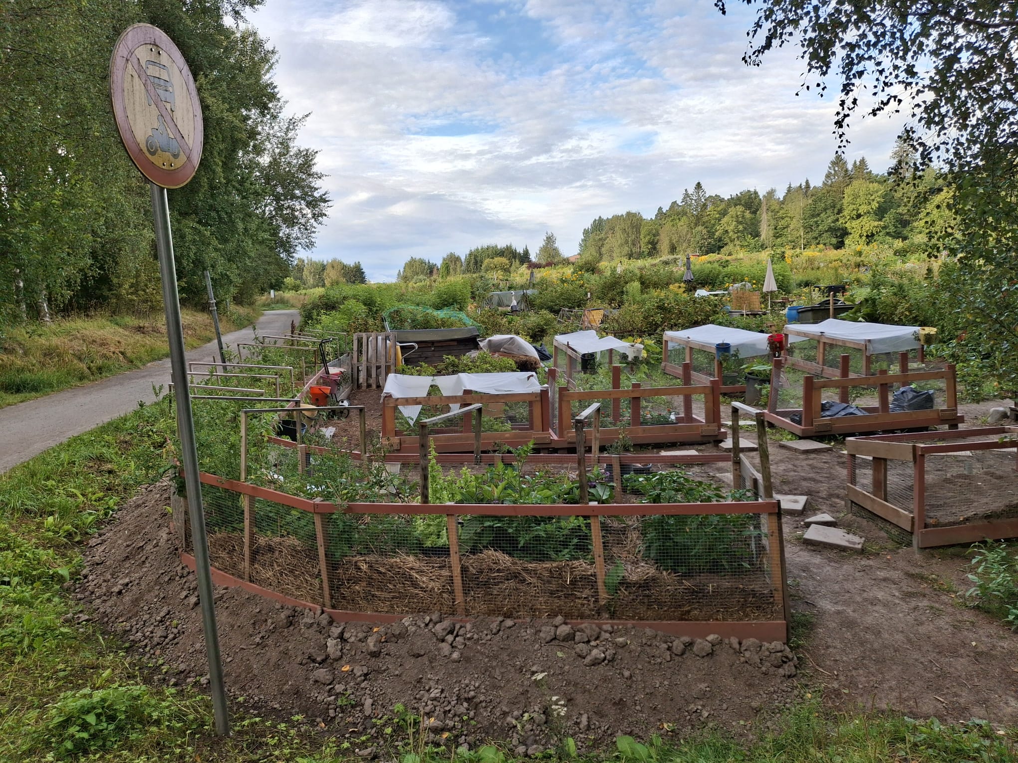 Course Image Urban farming 2026 Mini Deal (Lepaa)