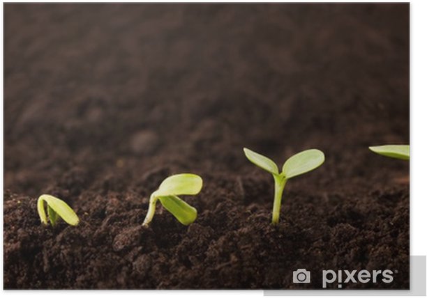 Course Image Processes of Cultural Methods SO00EG94-3001