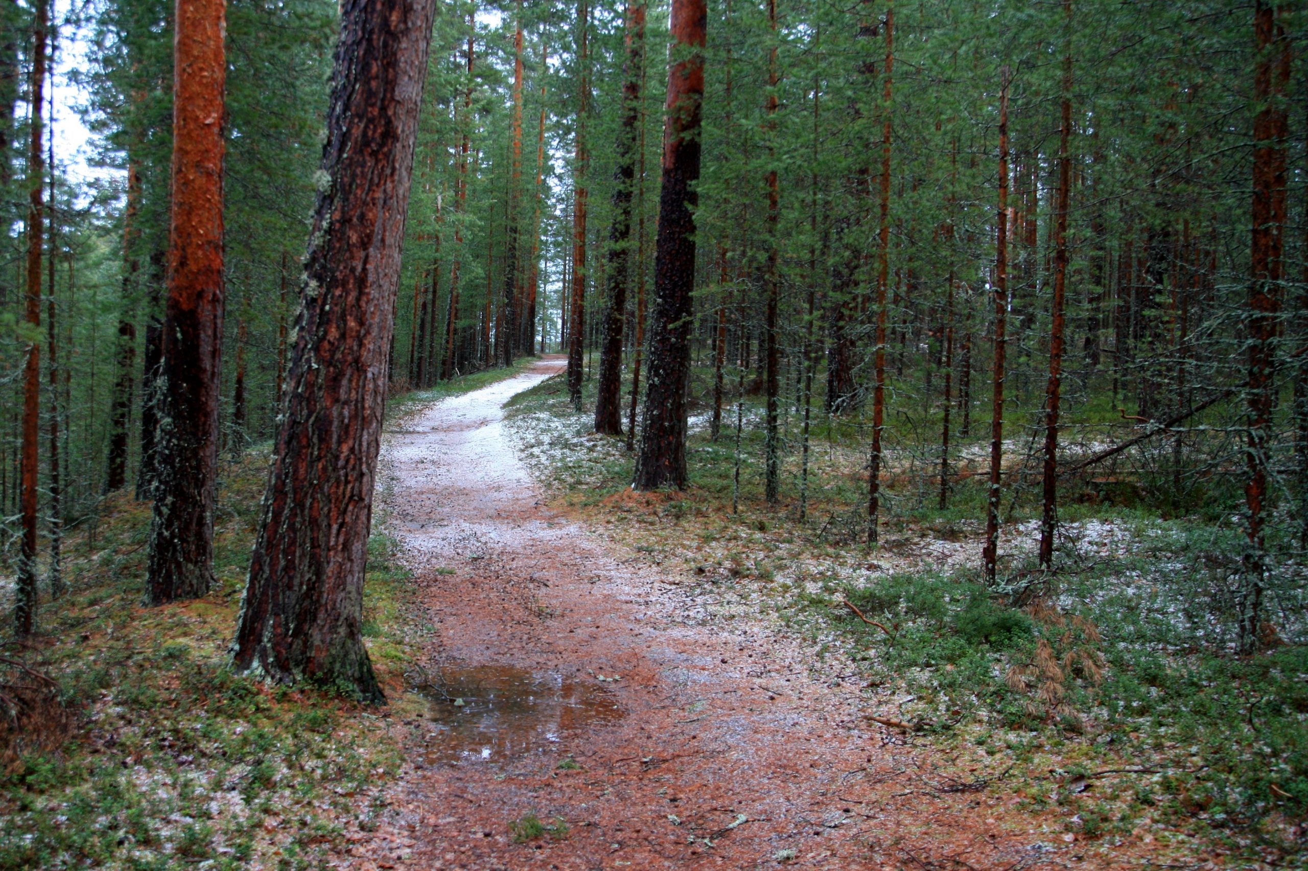 Course Image AmO26 - Kasvatustieteelliset perusopinnot - DBE/Korkeakoulu