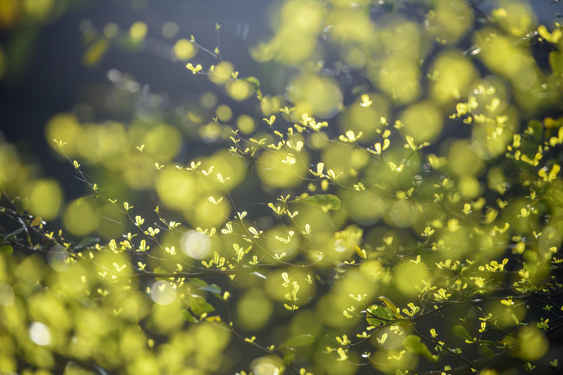 Course Image Tekniikan englanti 2 (INTIP25X) KM00EI26-3026