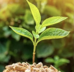 Course Image Professional English 1 and 2 for (päiväryhmä) YSKEP26